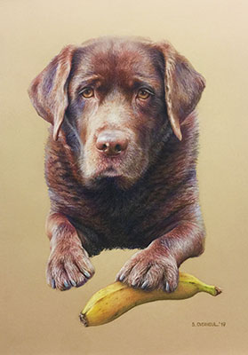 hondenportret pastel portretschilder sylvie overheul rotterdam
